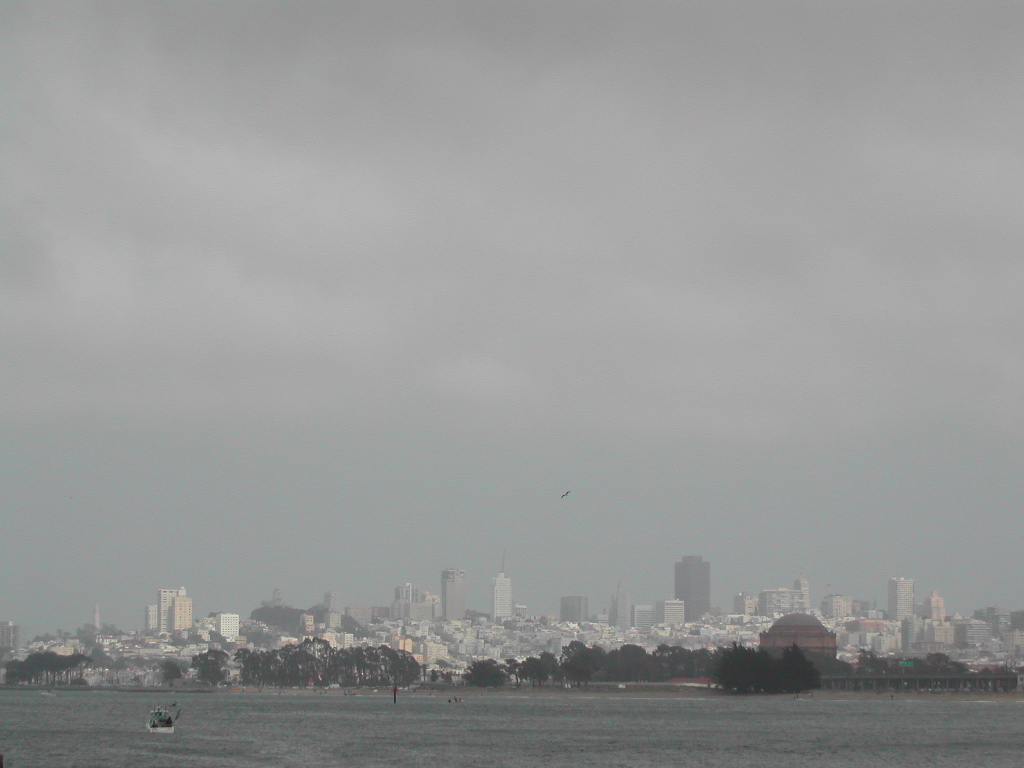 Distant view of San Francisco skyline under a cloudy sky, with a small boat on the water in the foreground.