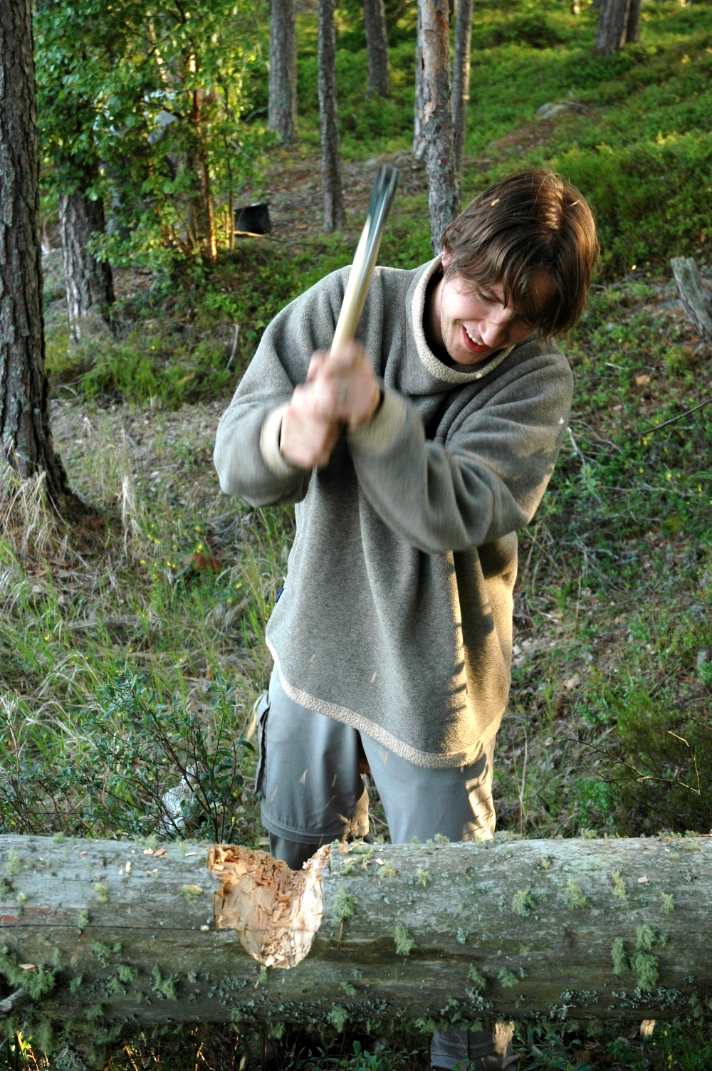 A person chopping a fallen tree with an axe in a forest, gathering wood for cooking.