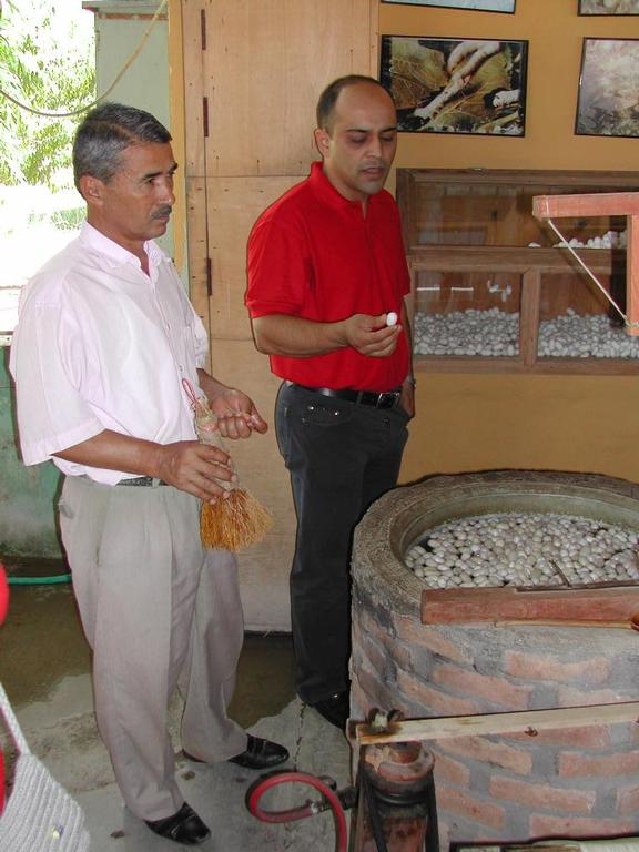 Two men examine silkworm cocoons near a large boiling vat in a carpet weavers association workshop.