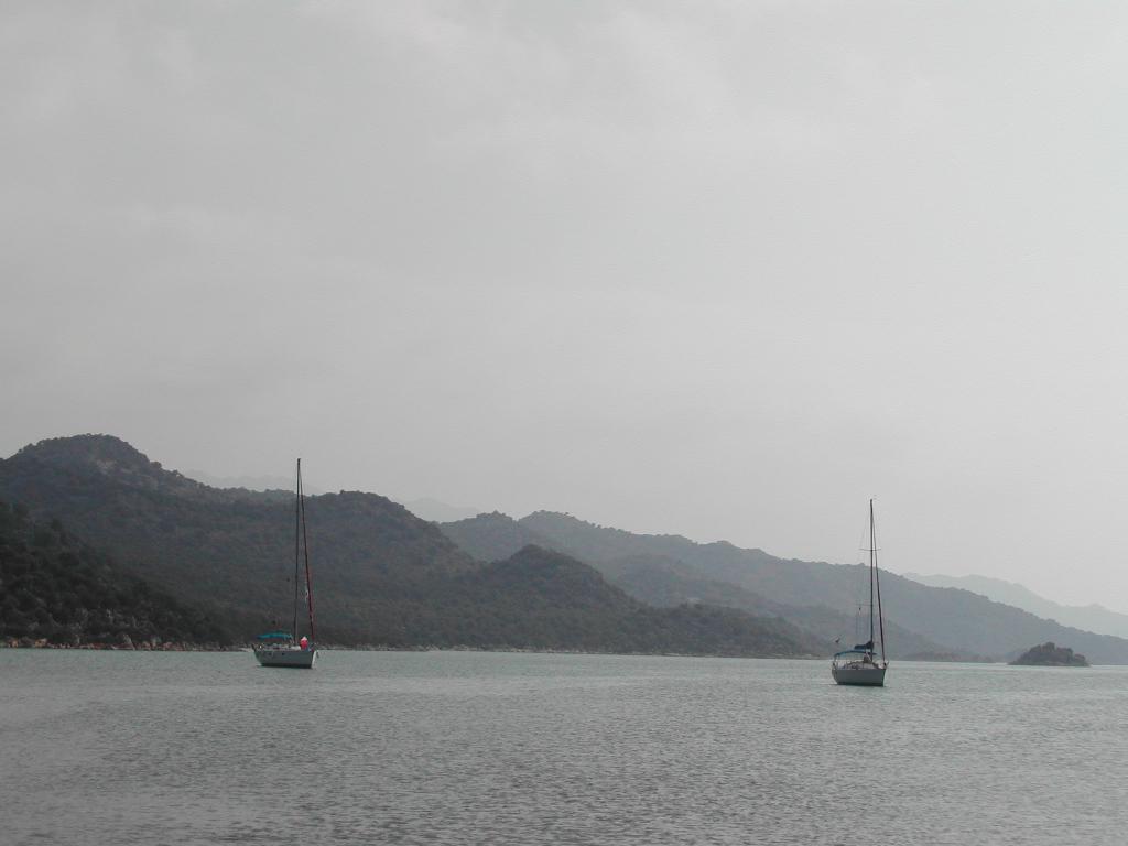 Two sailboats float on calm water with distant green hills in the background under an overcast sky.
