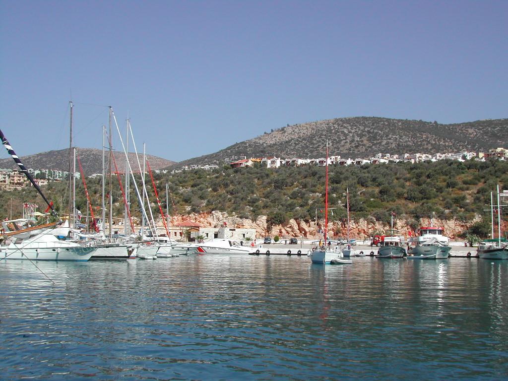 Several sailboats and yachts are docked in a marina with hills and houses in the background.