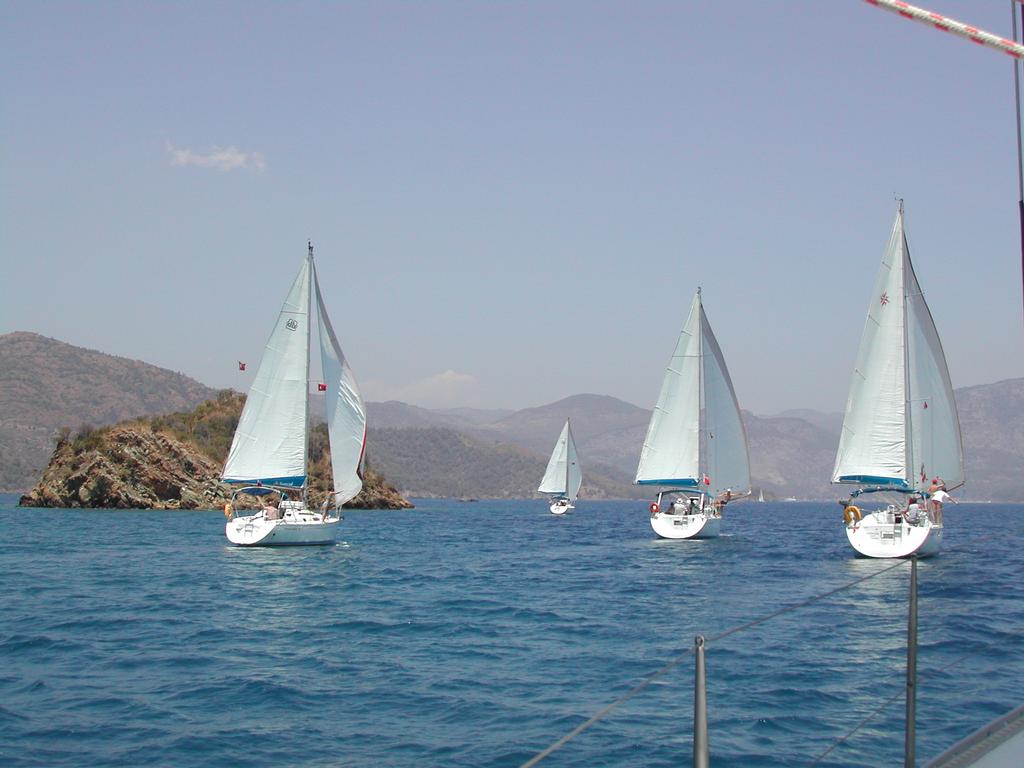 Several sailboats with white sails participate in a regatta on calm blue water, with distant mountains in the background.