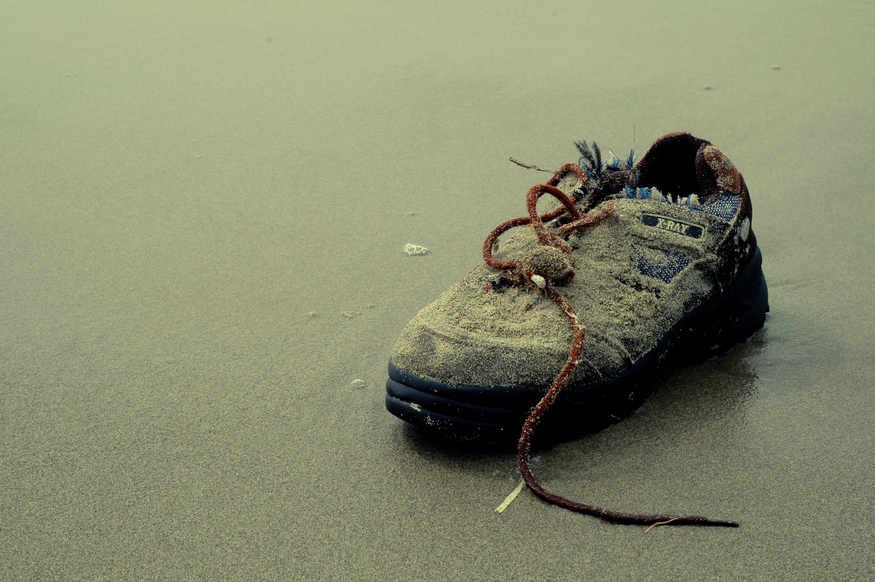 A single worn-out shoe covered in sand lies abandoned on a wet beach.
