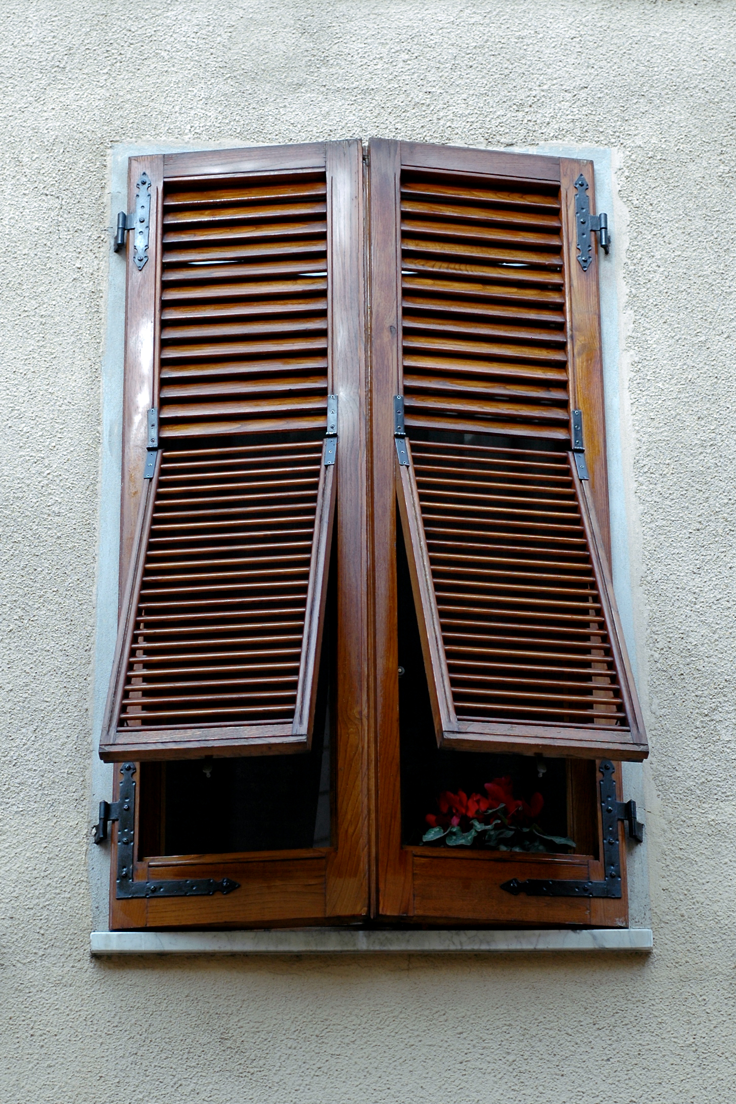 A wooden window with partially open shutters, revealing a dark interior and a small red flower plant on the sill.