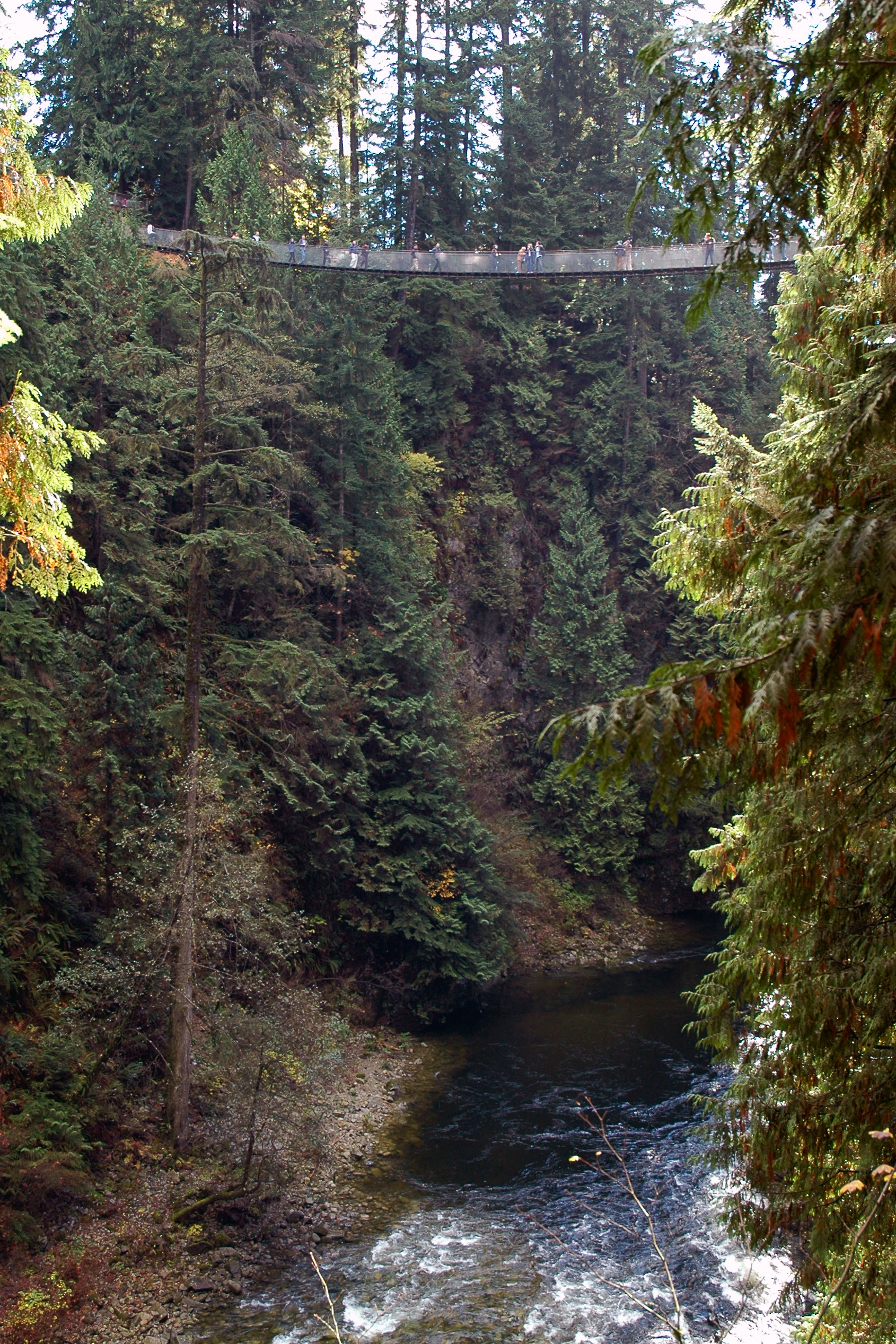 People walk across the Capilano Suspension Bridge, high above a river, surrounded by tall evergreen trees.
