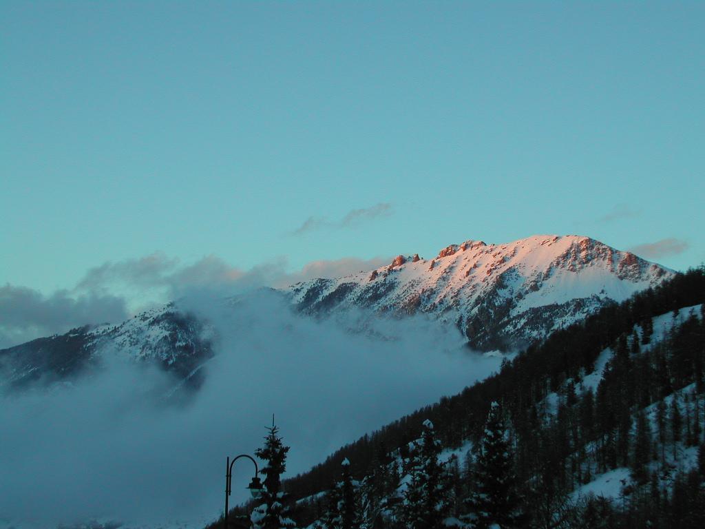 Snow-covered mountain peaks with a pinkish glow, partially covered by mist, with trees in the foreground.