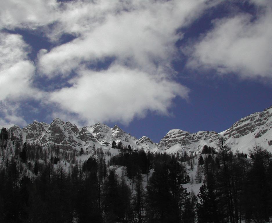 Snow-covered mountain peaks with scattered trees under a partly cloudy sky.