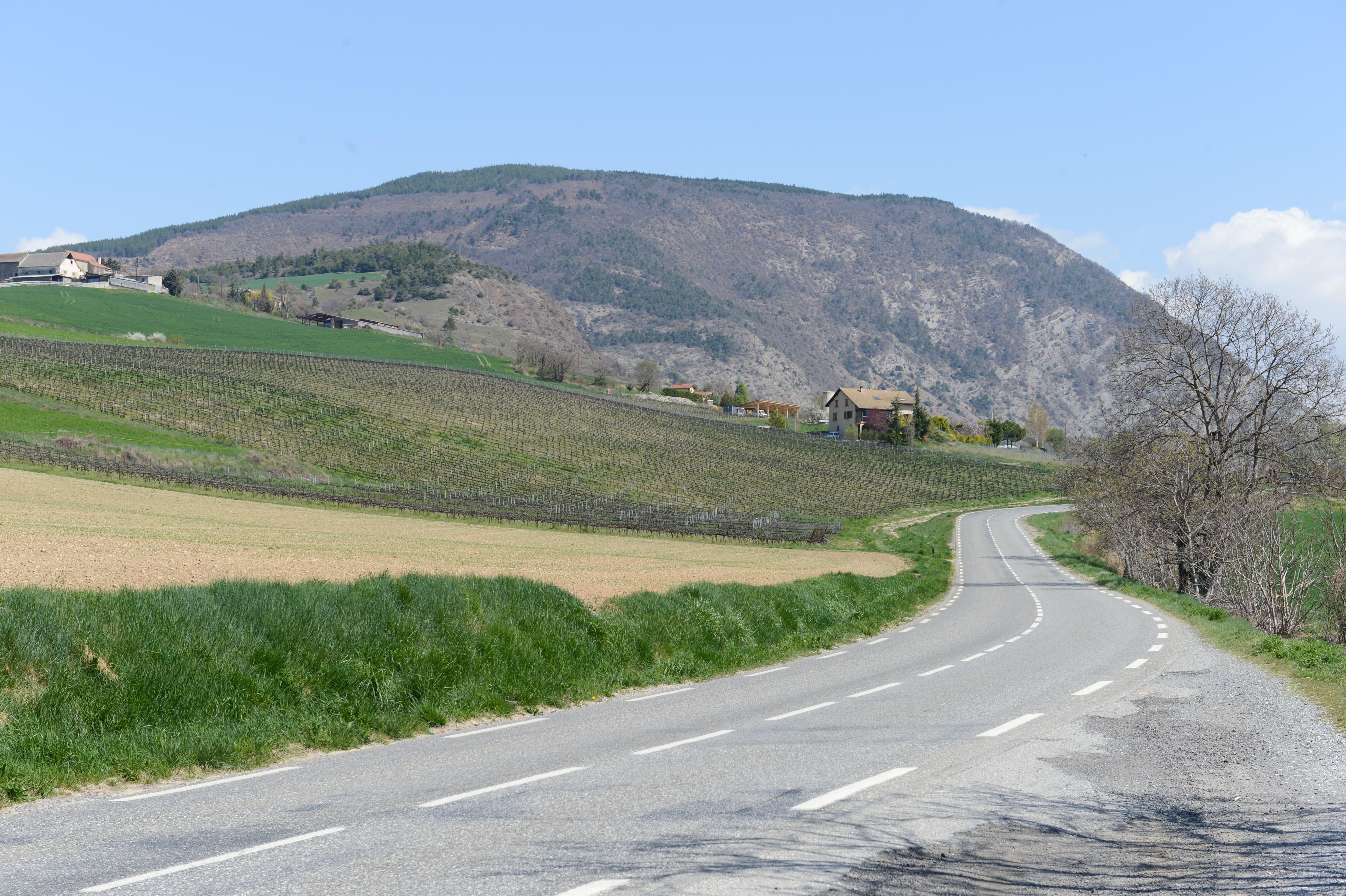 A winding road curves through green fields with houses and a mountain in the background under a clear sky.