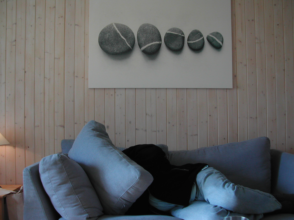A person is lying on a blue couch, partially hidden by cushions, with a painting of stones above them.