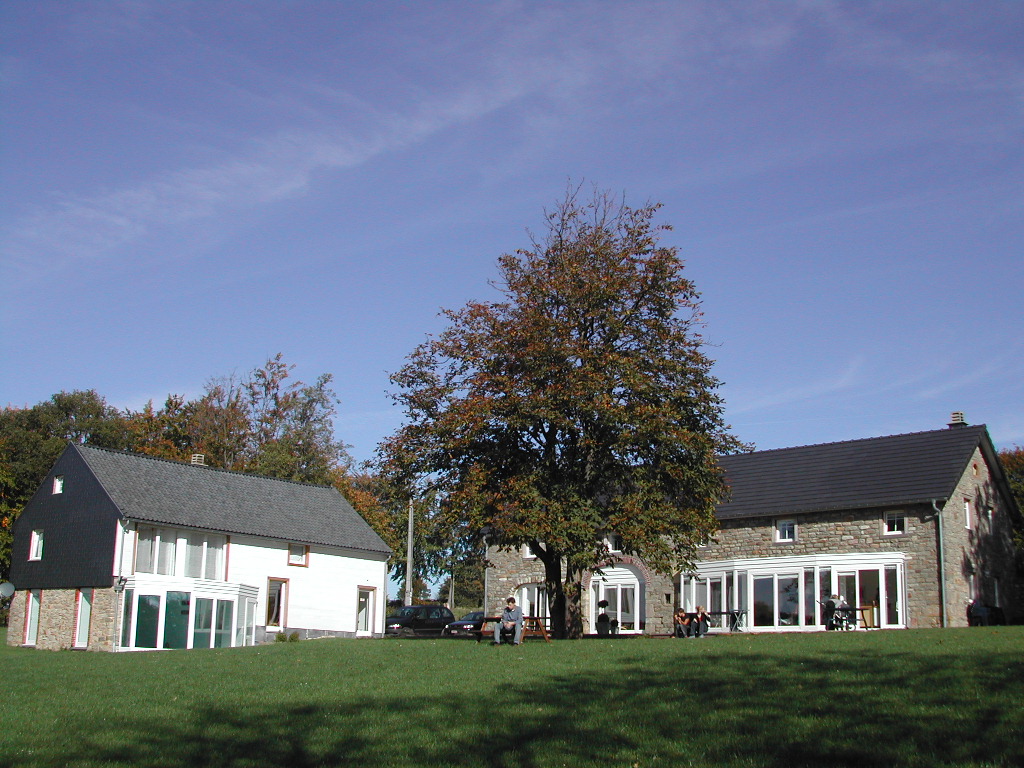 A large tree stands between two houses, with people sitting and standing outside on a sunny day.