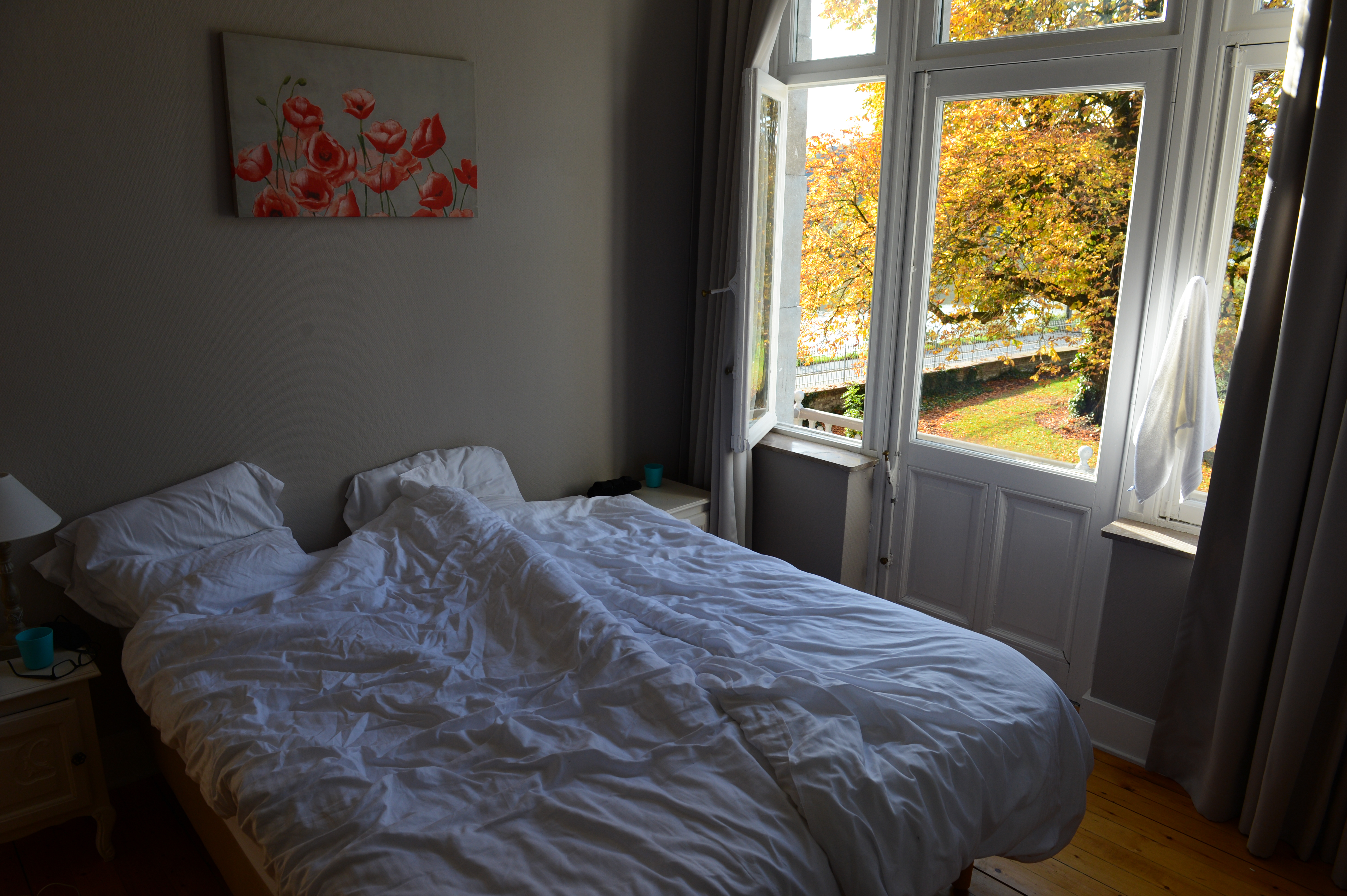 A bedroom with an unmade bed, open windows, and a view of trees with autumn leaves outside.