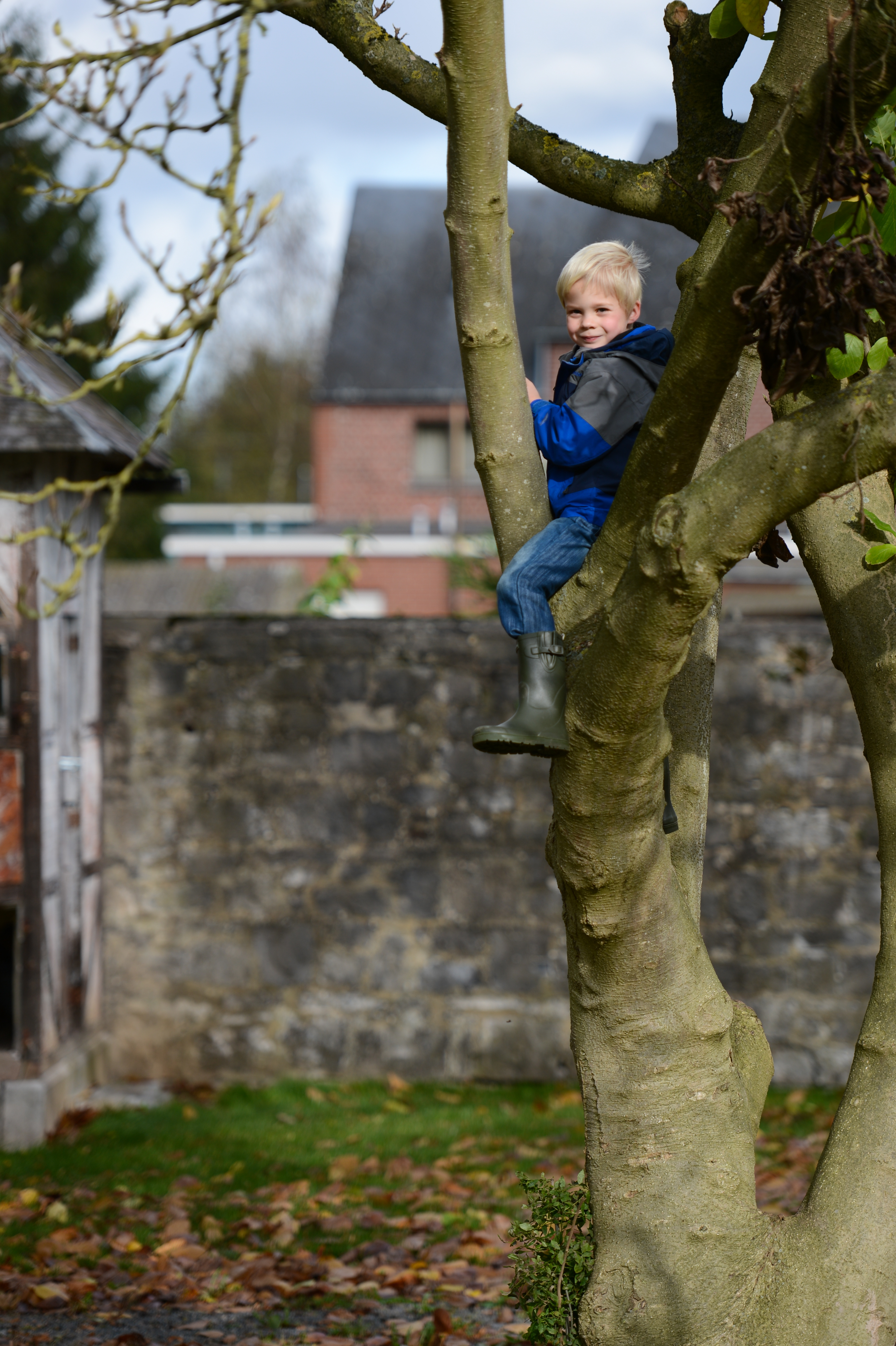A young child in a blue jacket and boots climbs a tree, smiling at the camera.