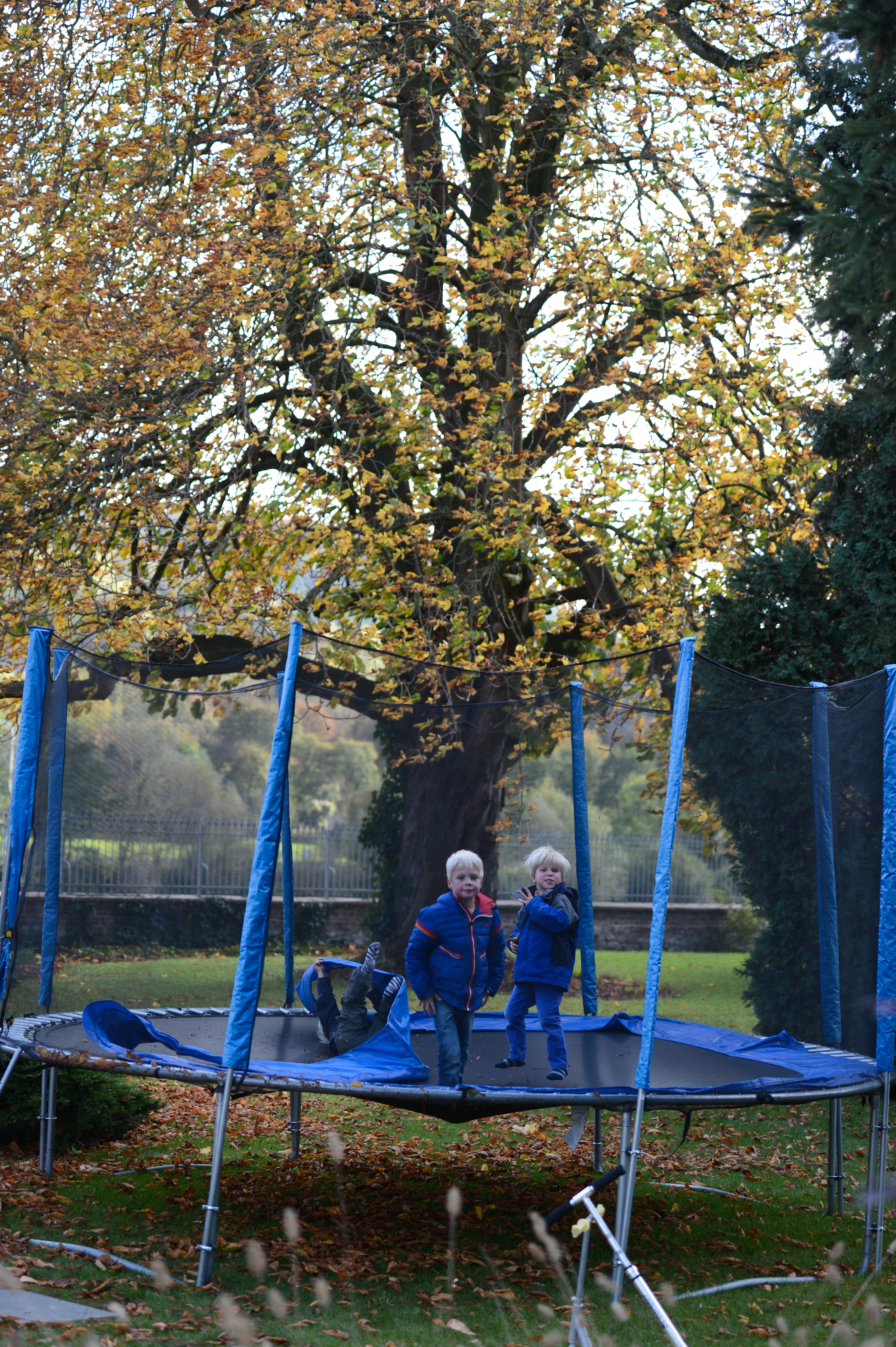 Two children in blue jackets stand on a trampoline while another child lies down, partially covered by the safety net.