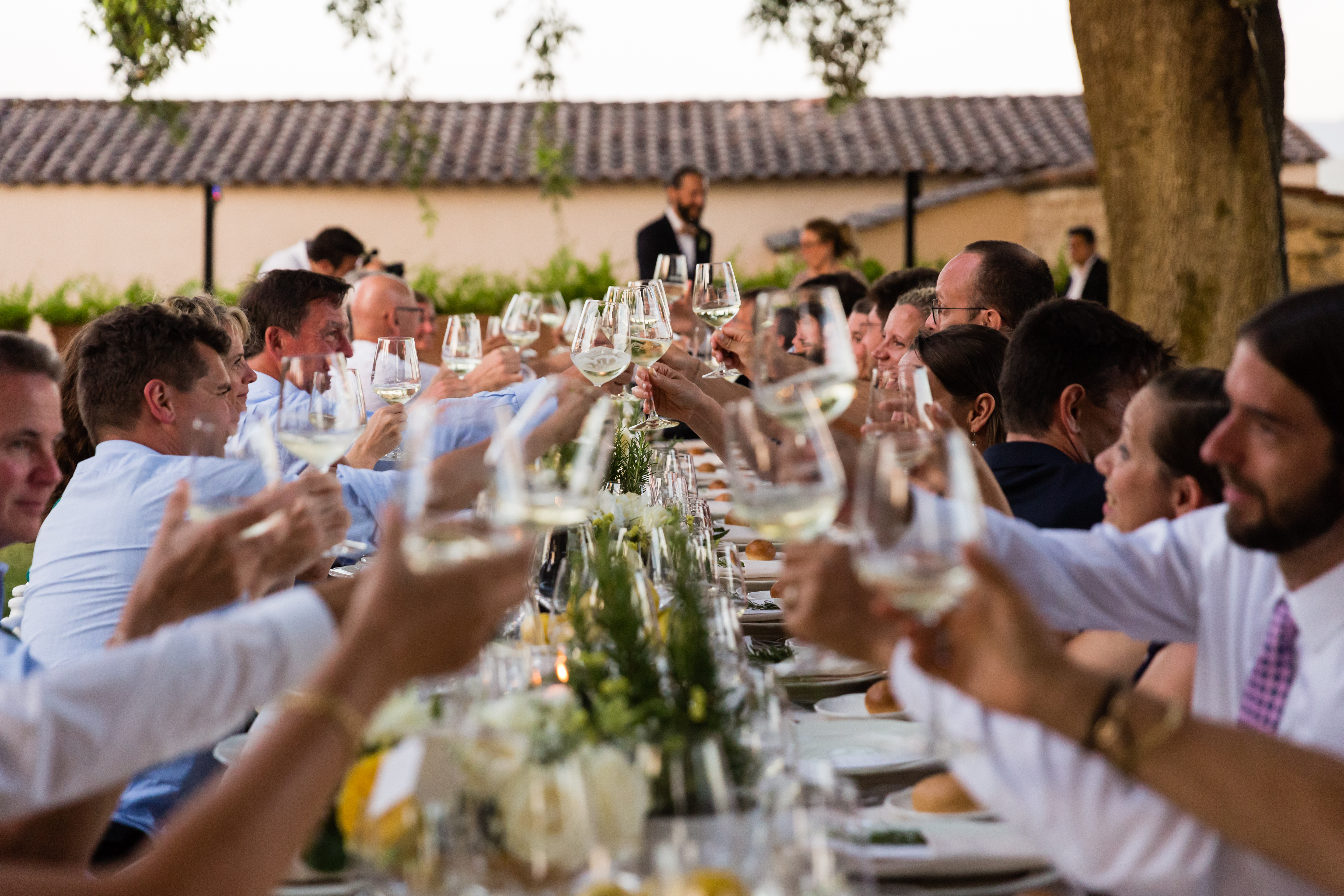 Wedding guests seated at a long table raise their glasses in a toast during an outdoor dinner.