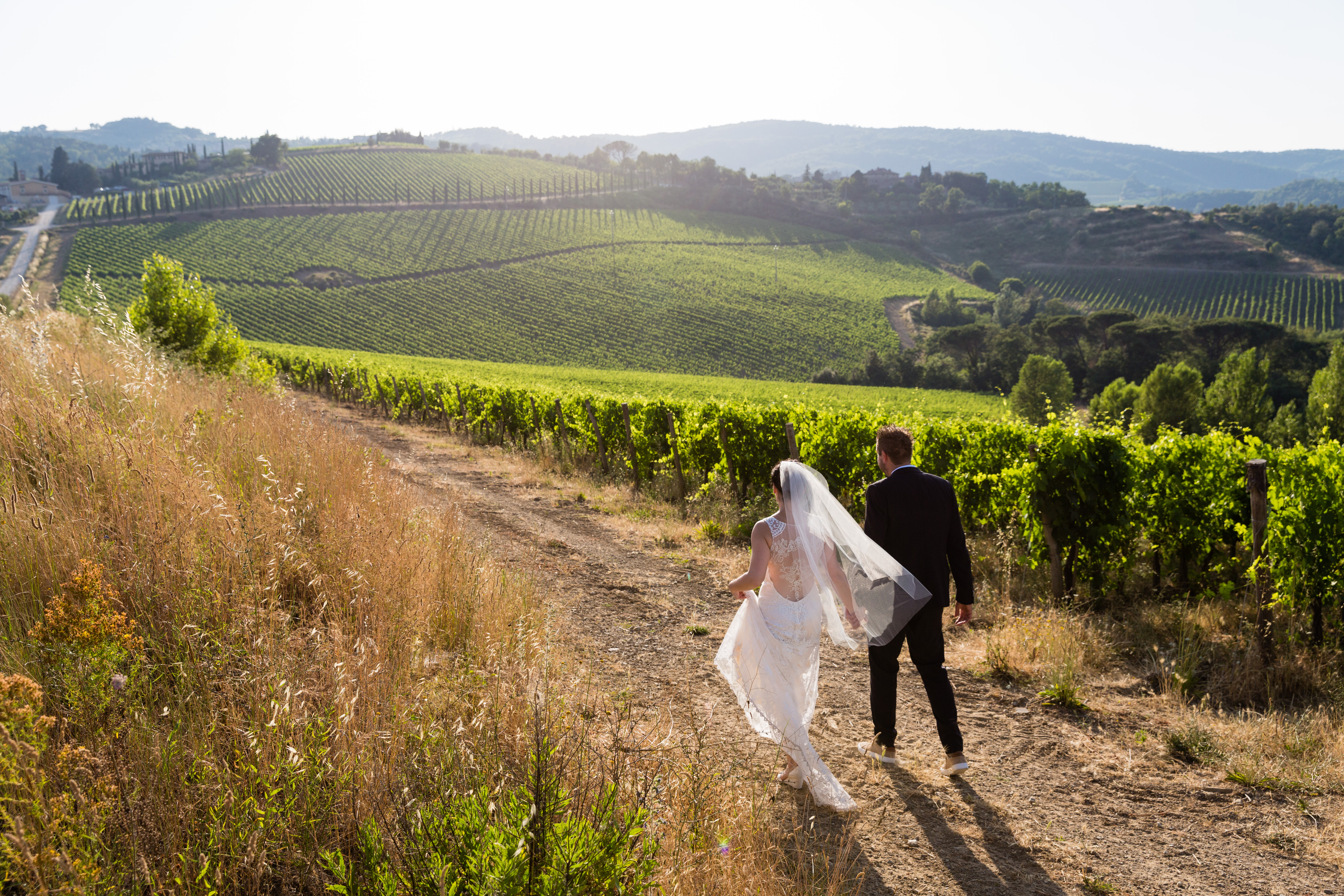A bride and groom walk hand in hand along a dirt path through a vineyard.