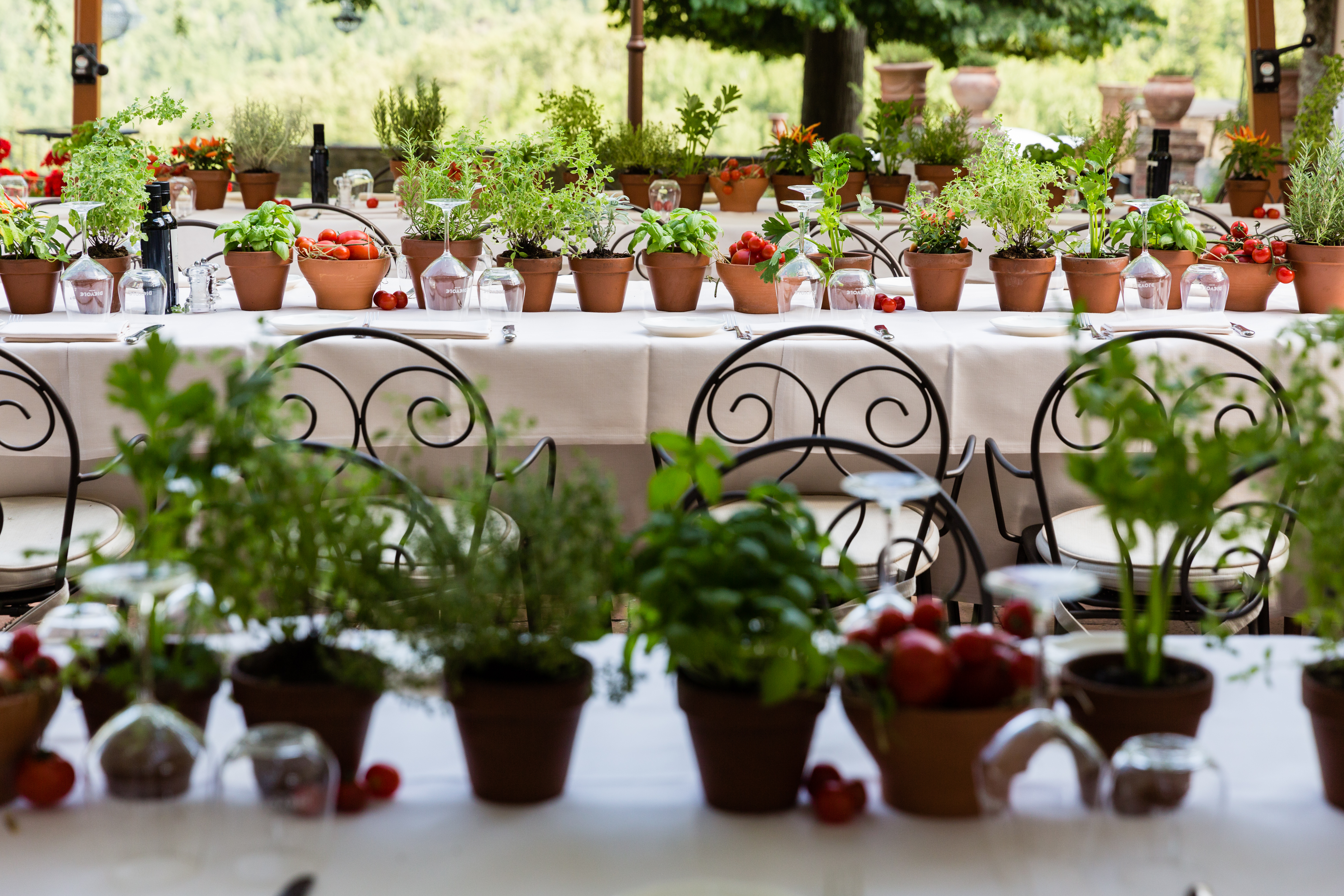 Outdoor dining tables decorated with potted herbs, tomatoes, and glassware, set for a wedding welcome barbecue.