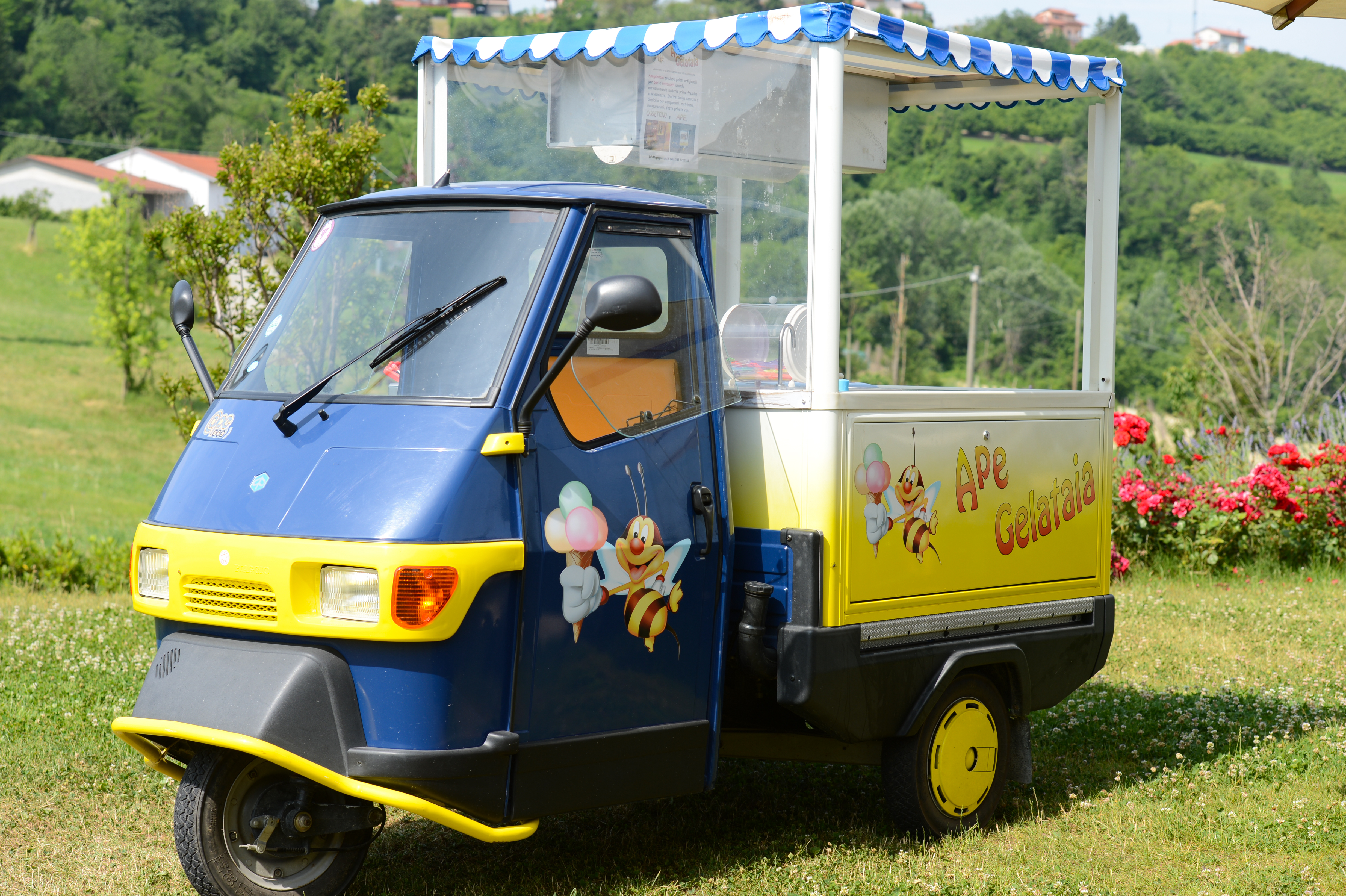 A small blue and yellow ice cream cart vehicle with a canopy, parked on grass in an outdoor setting.