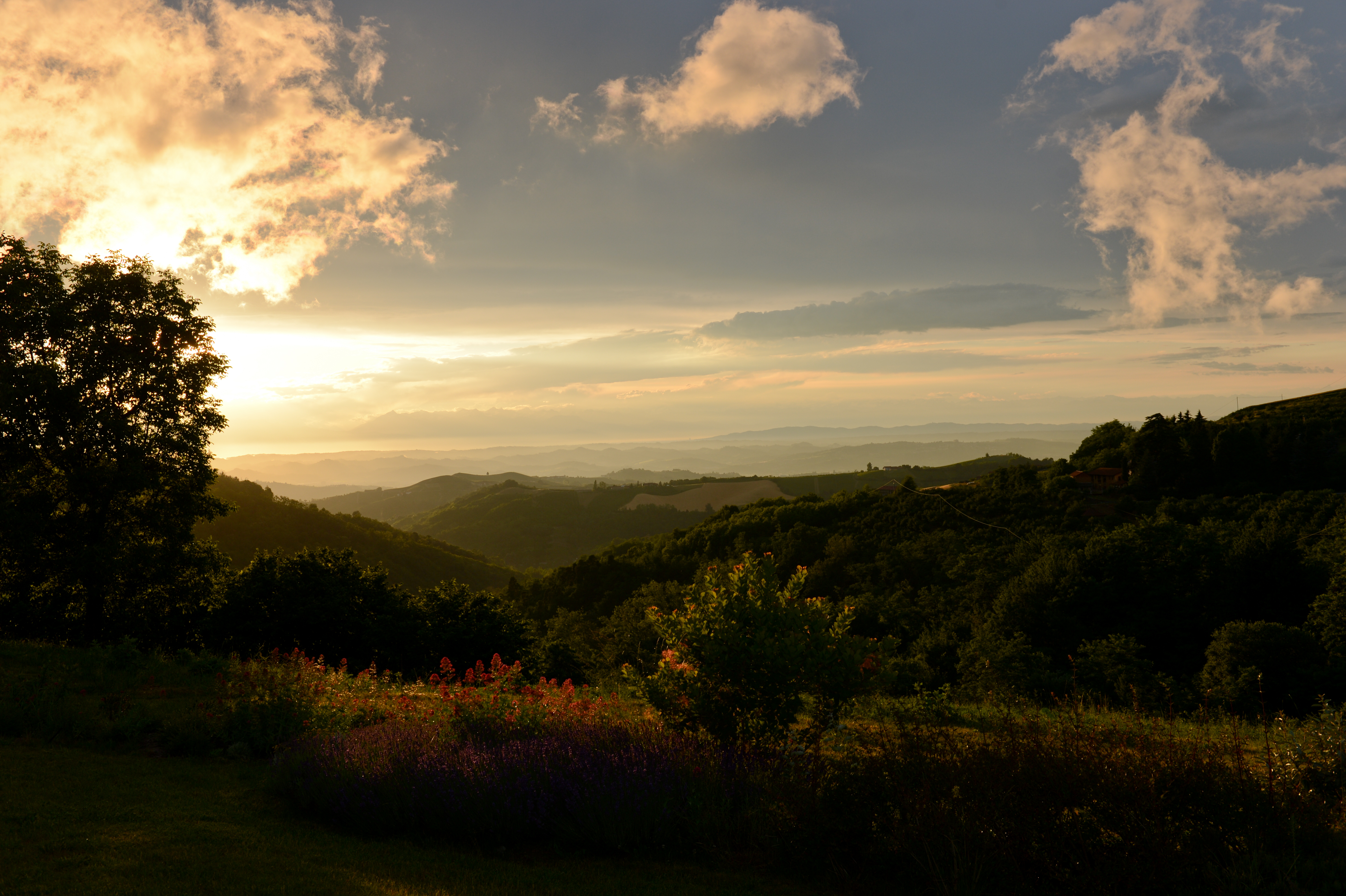 A scenic landscape with rolling hills, trees, and a sunset casting a warm glow over the horizon.