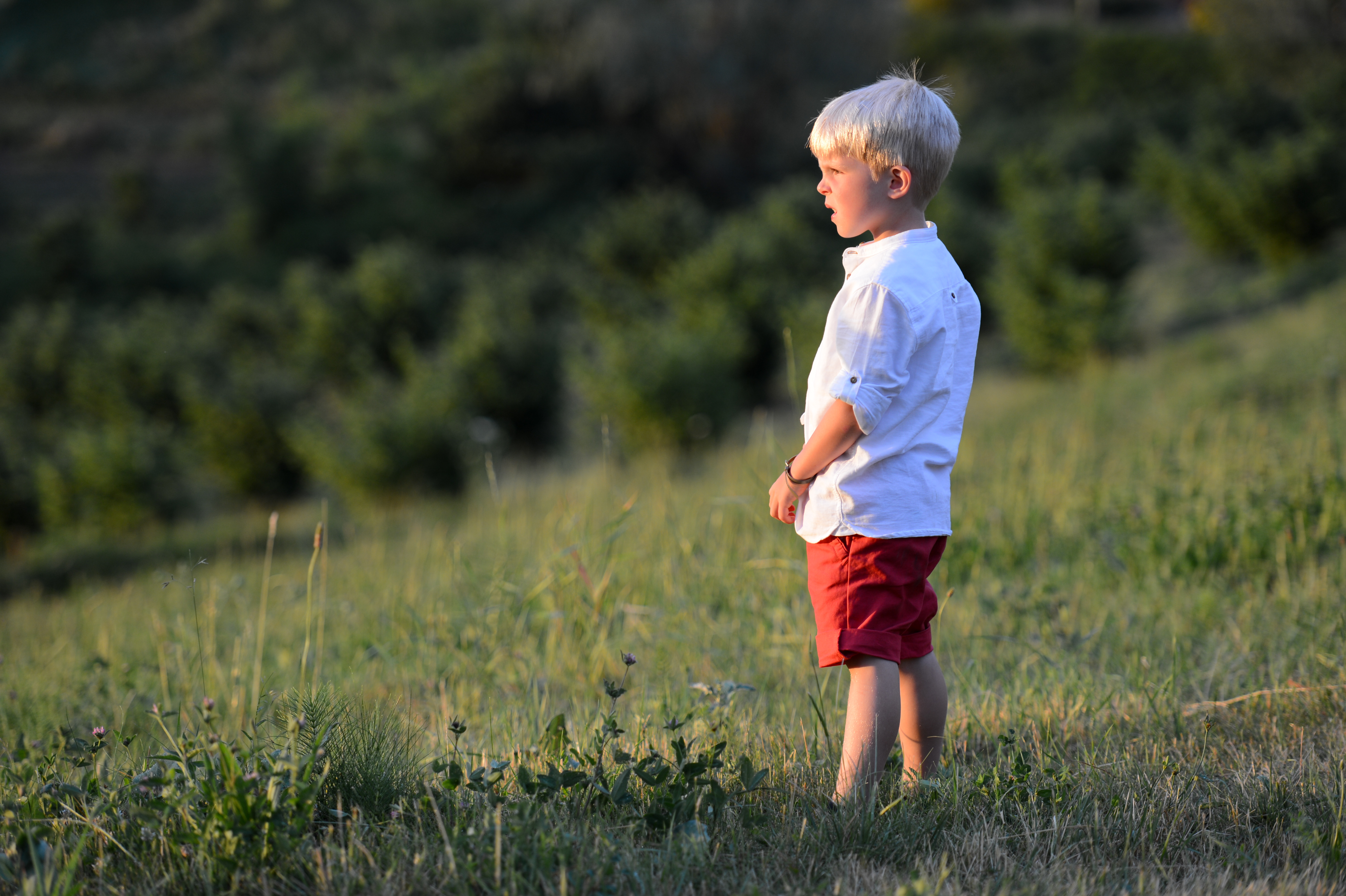 A young boy in a white shirt and red shorts stands in a grassy field, looking into the distance.