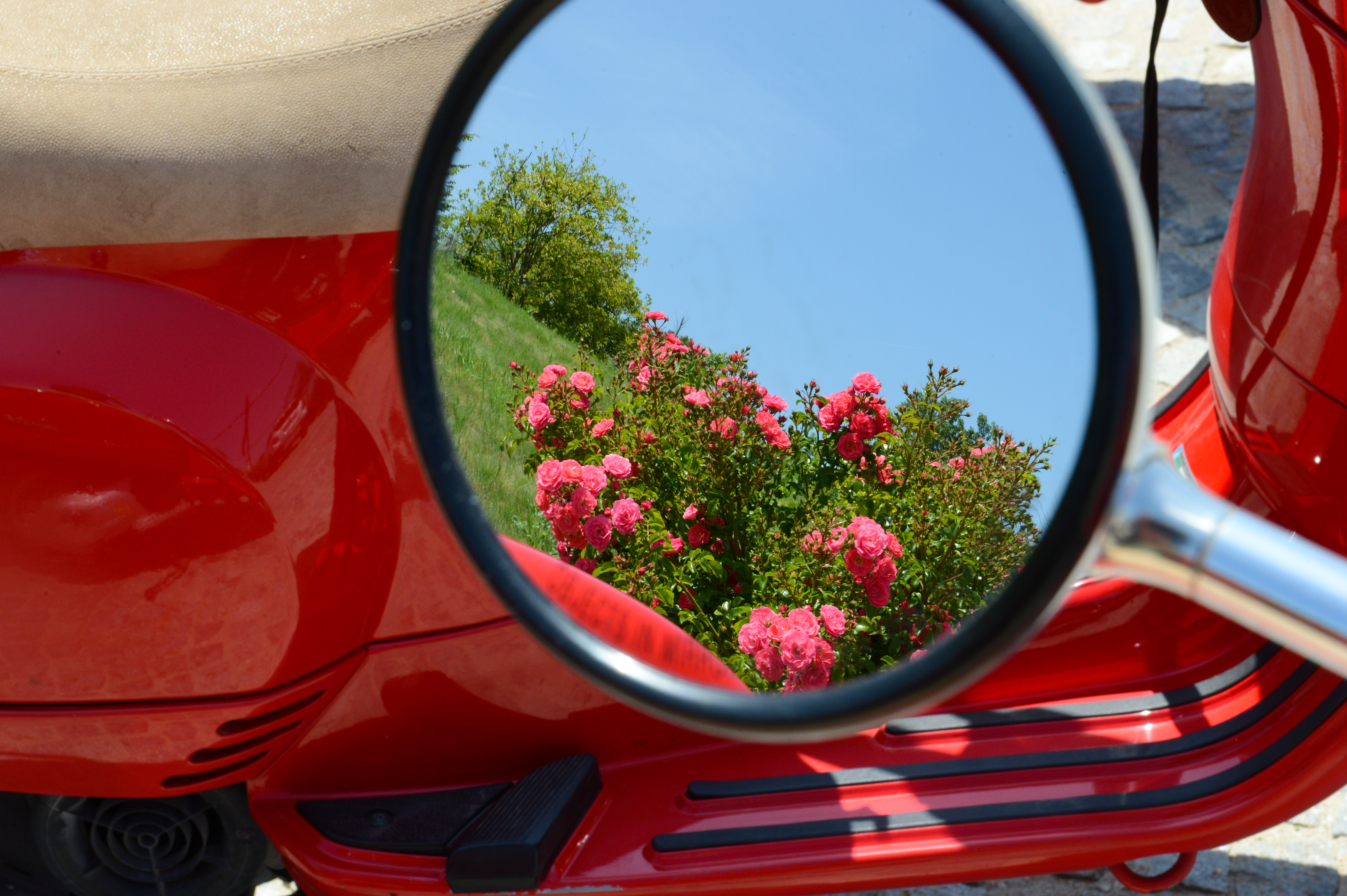 A red scooter with its mirror reflecting pink flowers and a blue sky.