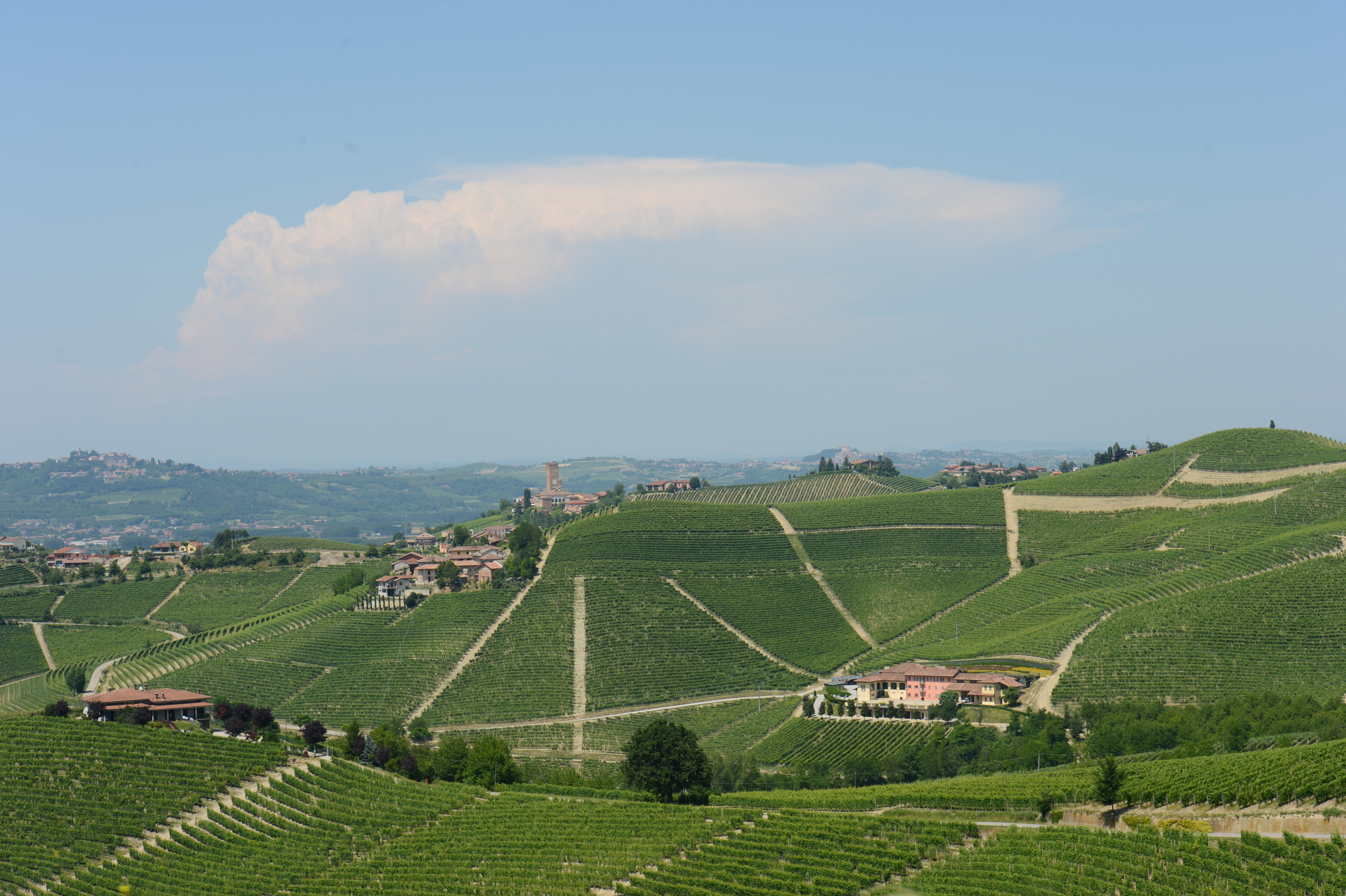 A landscape of rolling green vineyards with scattered houses and a distant tower under a clear blue sky.