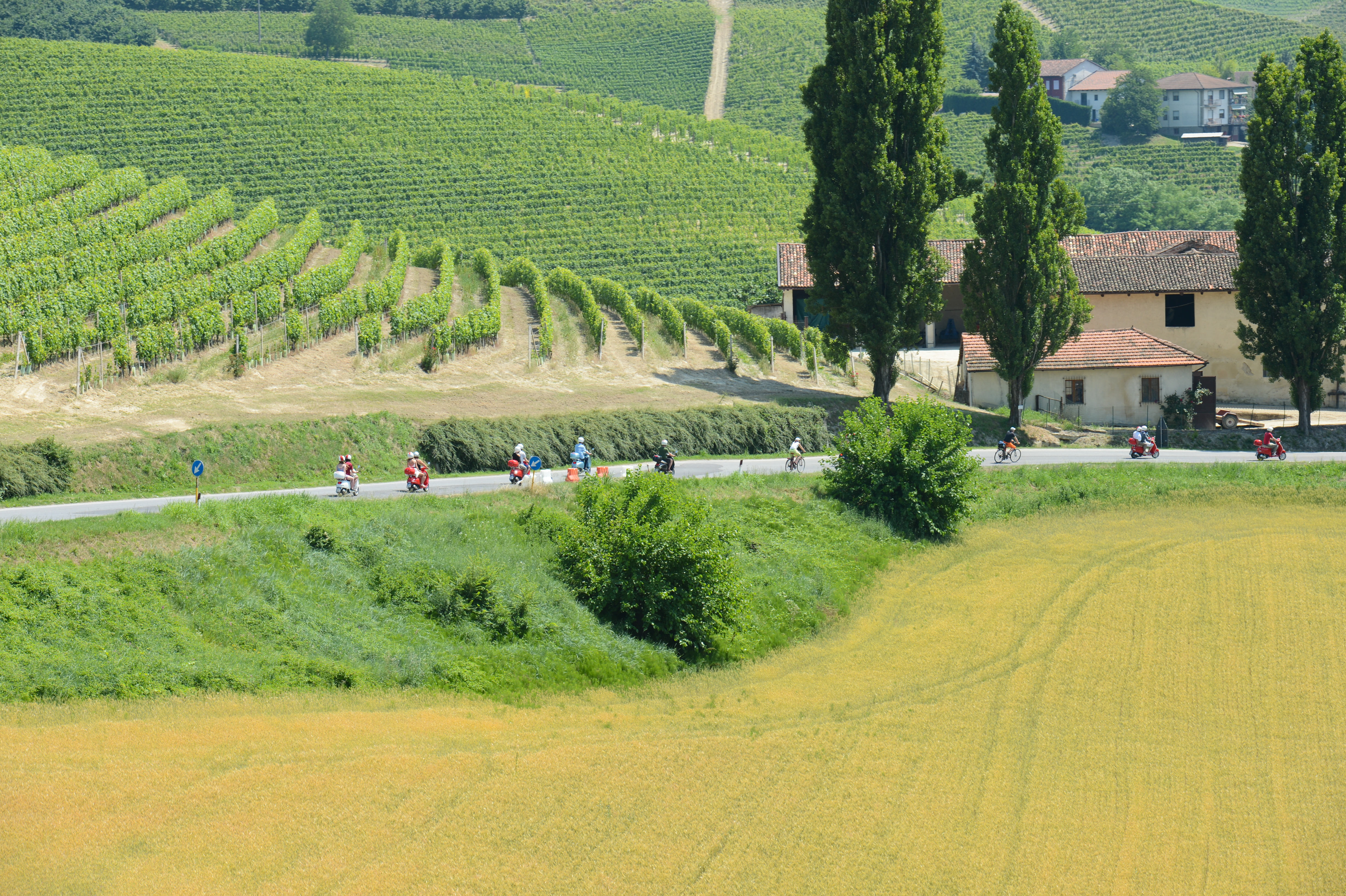 A group of people rides scooters along a rural road, passing vineyards and a farmhouse.