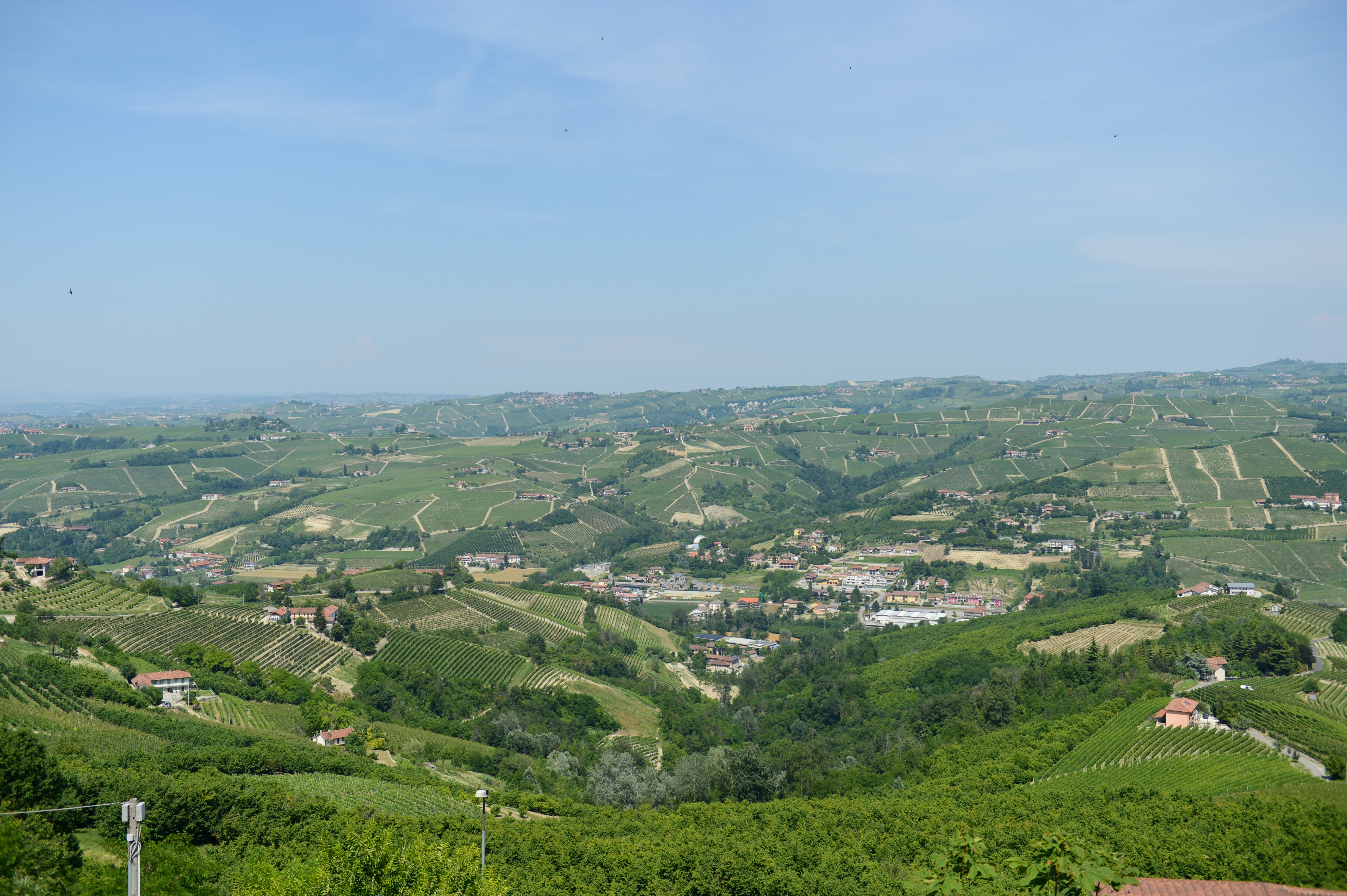 A wide view of green vineyards, rolling hills, and small villages under a clear blue sky.