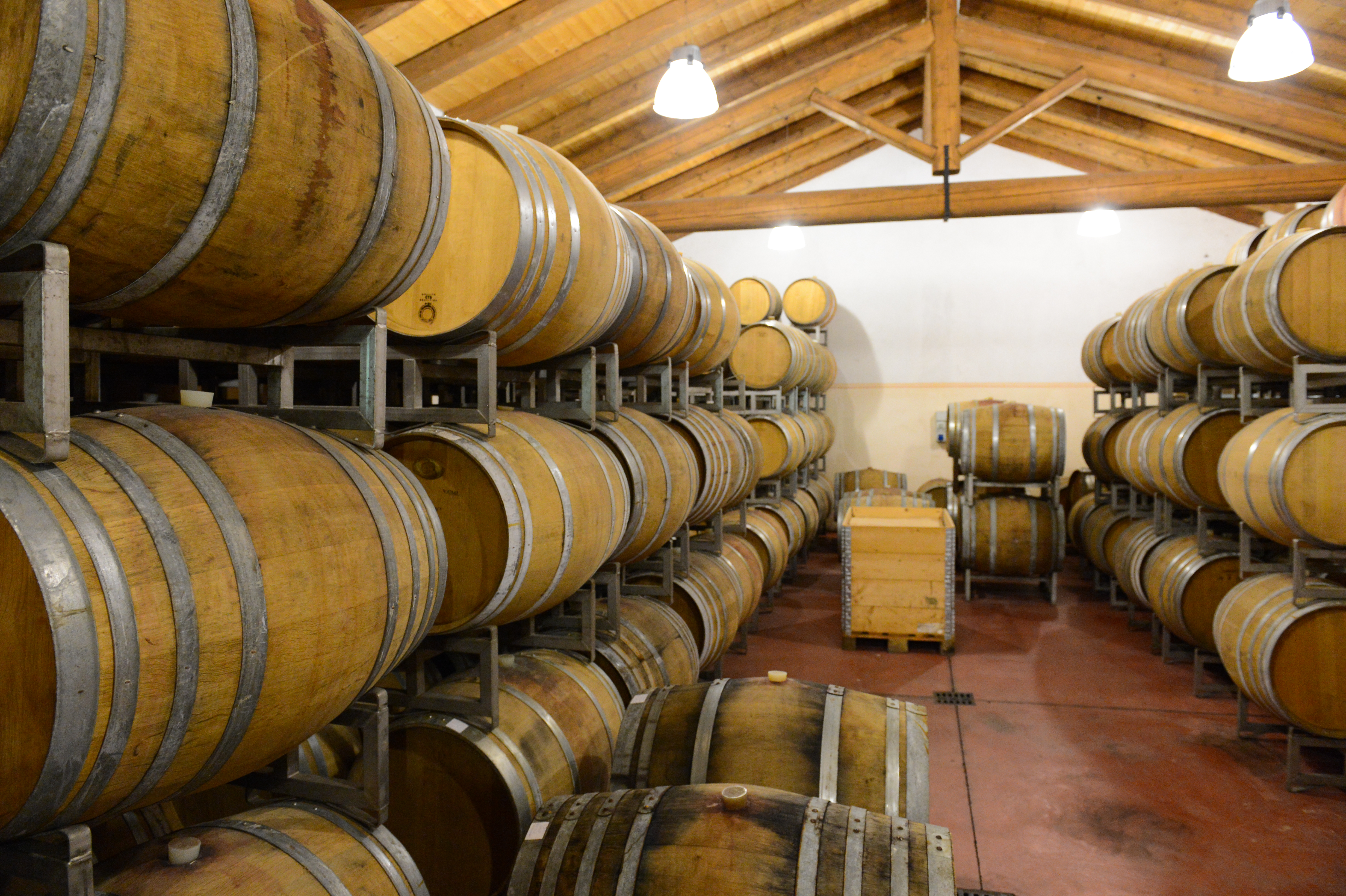 A storage room filled with stacked wooden barrels, likely used for aging wine or other beverages.