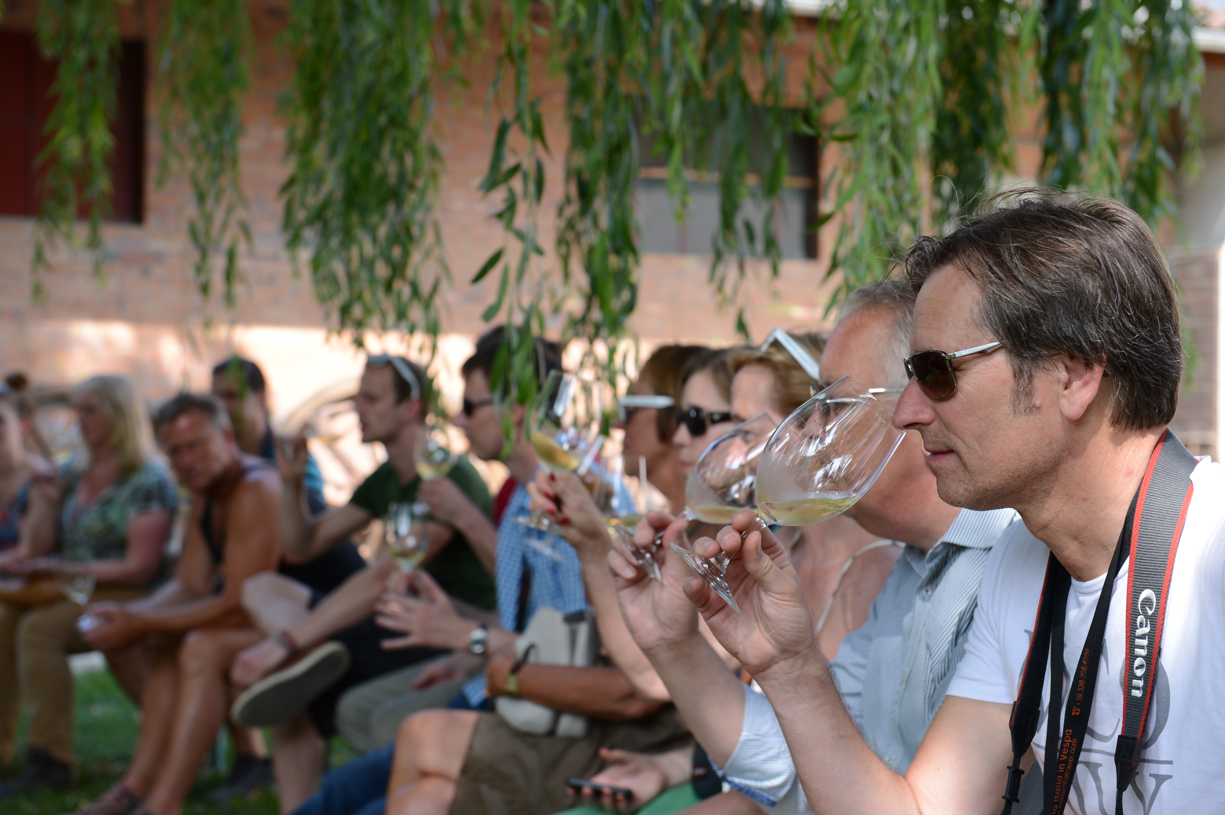Guests at a wedding sit outdoors, tasting white wine and enjoying the event.