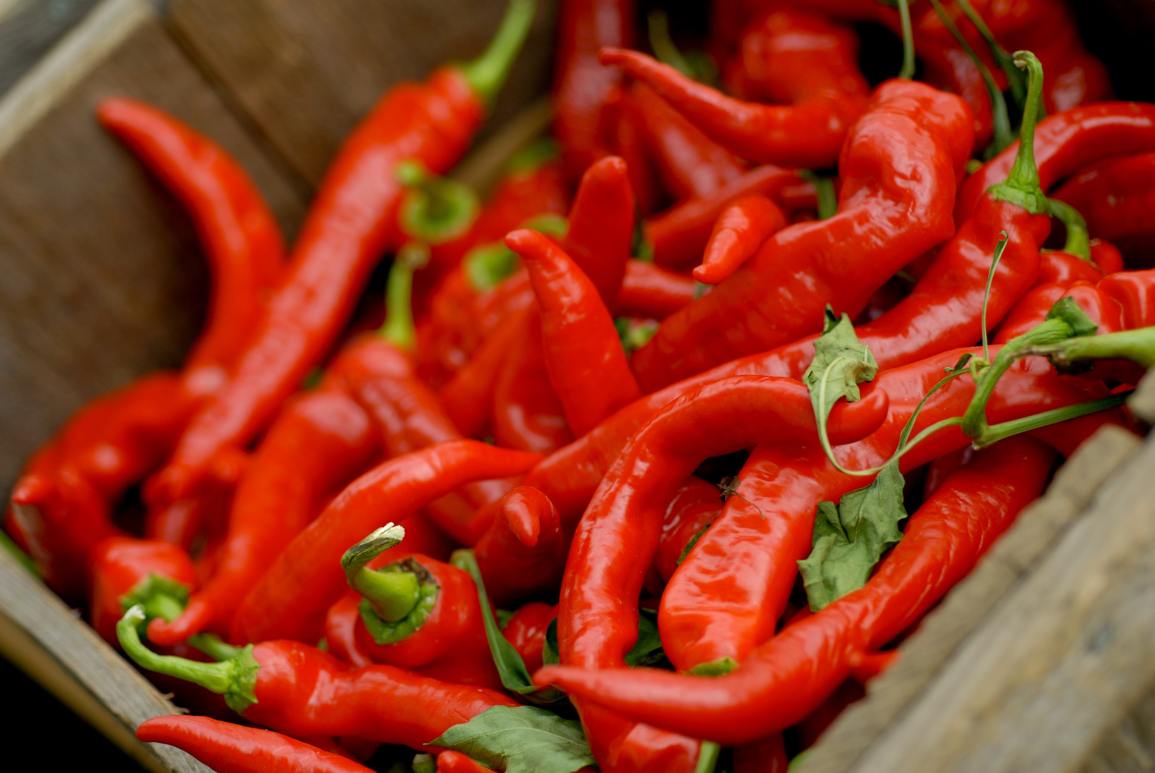 A wooden crate filled with fresh red chili peppers at a farmers market.