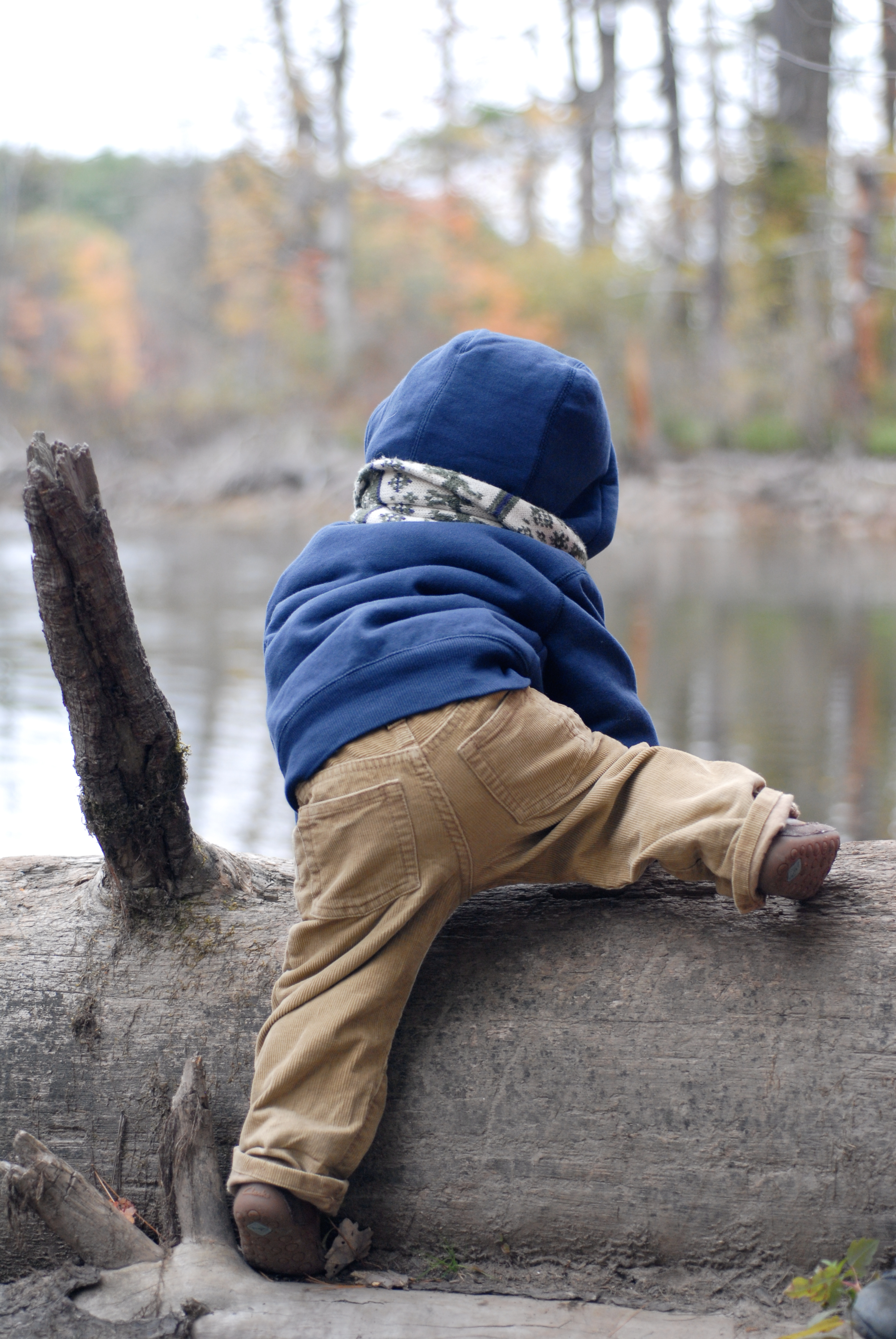 A child in a blue hoodie climbs over a fallen tree trunk near a calm body of water.